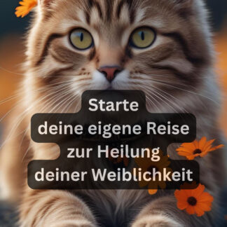Die Heilung des Schoßraums...
