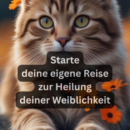 Die Heilung des Schoßraums...