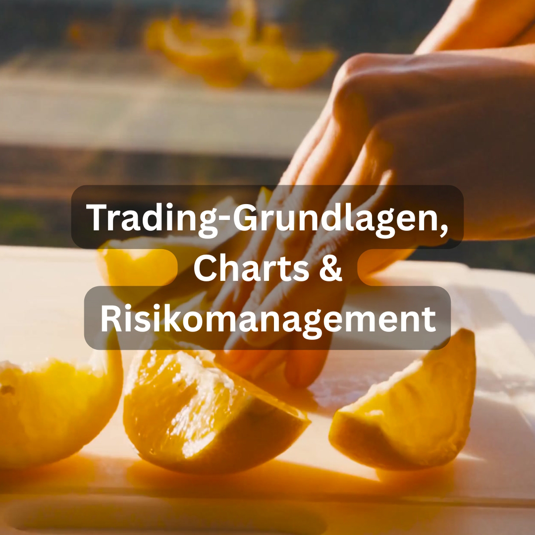 Der ultimative FOREX Trading Kurs: Währungshandel von A-Z